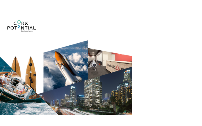 acc-header - 2019-05-28T155246.530.png