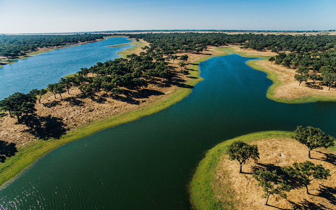 DJI_0087.jpg