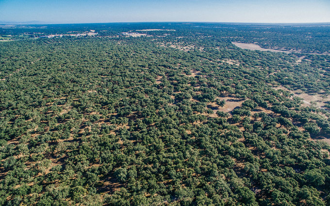 DJI_0042.jpg